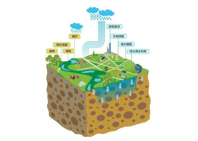 看過(guò)文章“種雨水的人：津巴布韋生態(tài)農(nóng)夫菲力的故事”之后，或許你也很想親手開(kāi)始實(shí)踐，把珍貴的雨水“種”到土壤中，種出一片生機(jī)蓬勃的綠洲